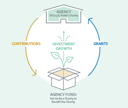 Agency Funds